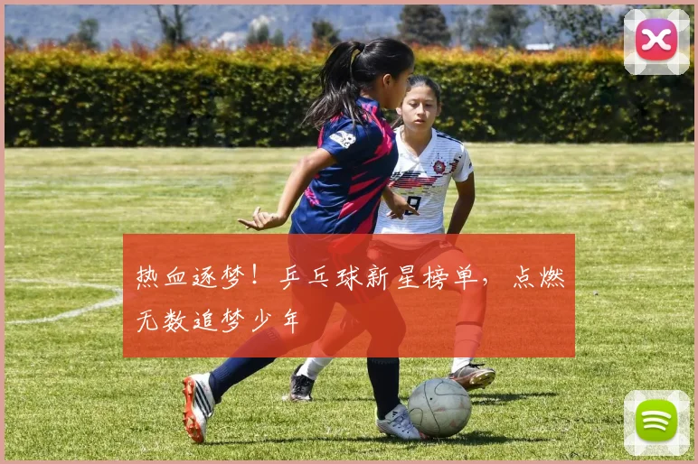 热血逐梦!乒乓球新星榜单,点燃无数追梦少年