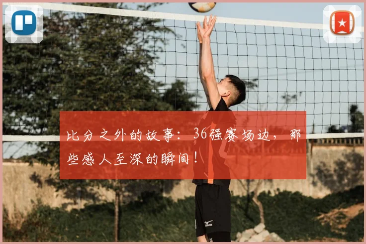 比分之外的故事：36强赛场边，那些感人至深的瞬间！
